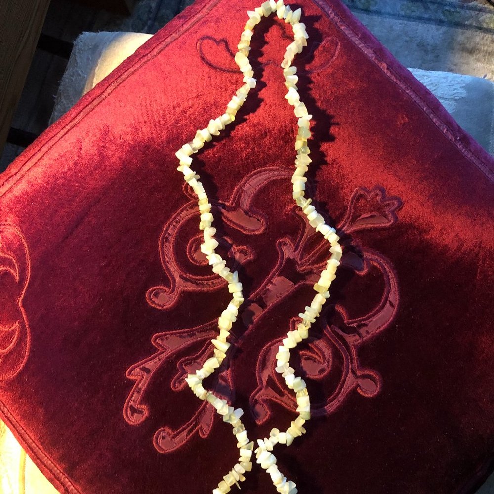 Non Metallic Necklace